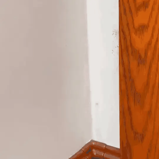 Sprej protiv plesni uklanja plesan